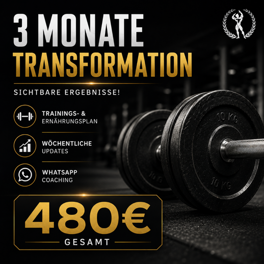 3-Monate Transformation Coaching – Sichtbare Ergebnisse