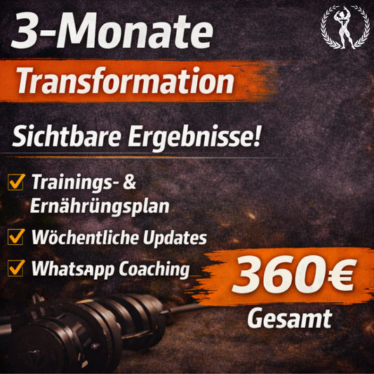 3-Monate Transformation Coaching – Sichtbare Ergebnisse